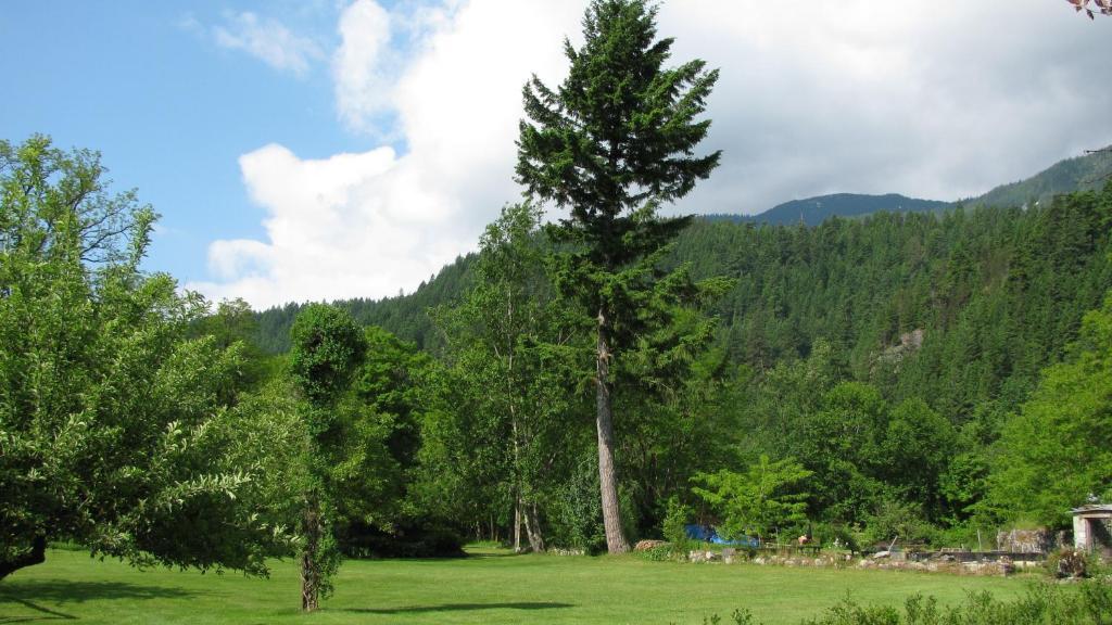 Sasquatch Crossing Eco Lodge B&B Harrison Mills Exterior photo