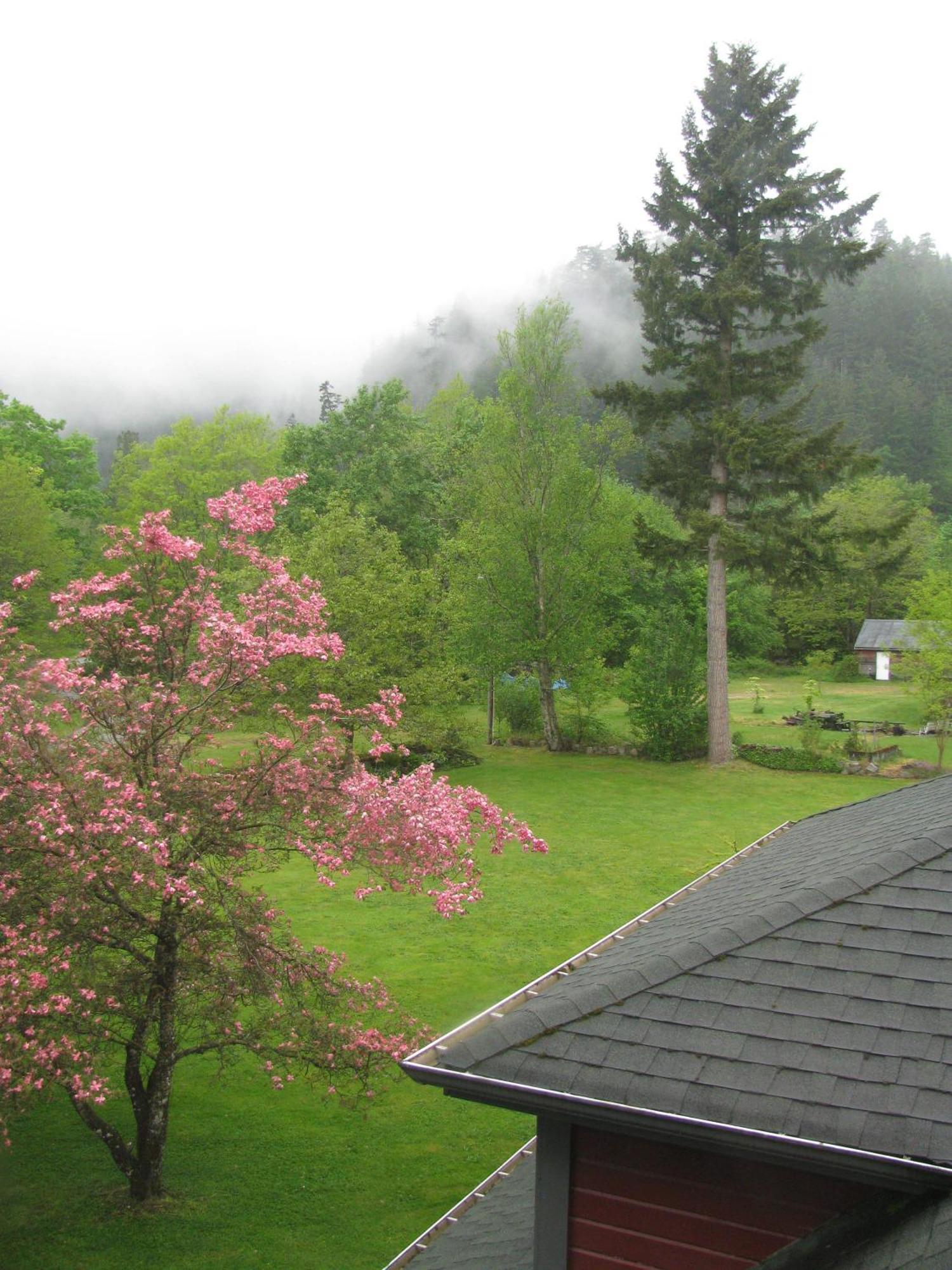 Sasquatch Crossing Eco Lodge B&B Harrison Mills Exterior photo
